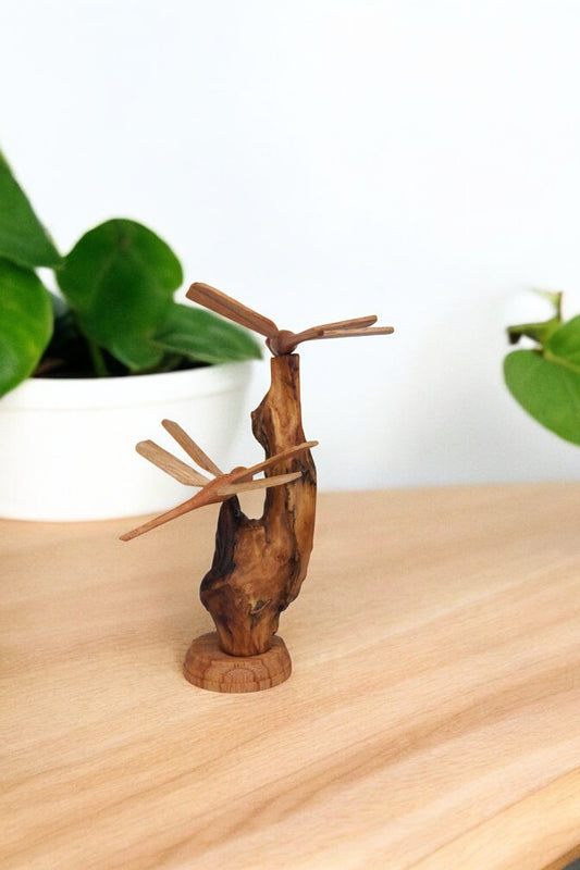 2 Cute Dragonfly with Branch